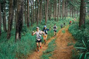 BIB: 
                            <button type="button" onclick="openModal(25713394)" class="btn btn-primary btn-sm float-right btn-popup" data-toggle="modal" data-target=".modal-high-quality">
                        <i class="fas fa-shopping-cart"></i> Add to Cart
                    </button>
                                            <button type="button" onclick="isThisMe(25713394, true)" class="btn btn-success btn-sm float-right btn-popup btn-isme hidden" data-toggle="tooltip" data-placement="bottom" title="นี่คือรูปของคุณใช่ไหม คลิกที่นี่เพื่อเอาเข้าอัลบั้ม">
                        <i class="fas fa-plus"></i> Add to album
                    </button>
                    <button type="button" onclick="isThisMe(25713394, false)" class="btn btn-warning btn-sm float-right btn-popup btn-isnotme hidden">
                        <i class="fas fa-ban"></i> Remove from album
                    </button>